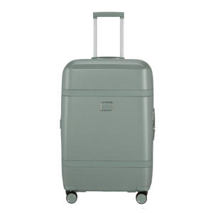 trolley Image 69 cm. Expandable mintgroen
