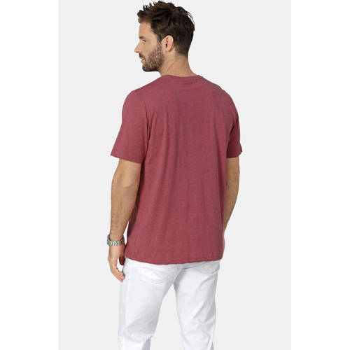 Babista regular T-shirt ULVIENTO roze afbeelding