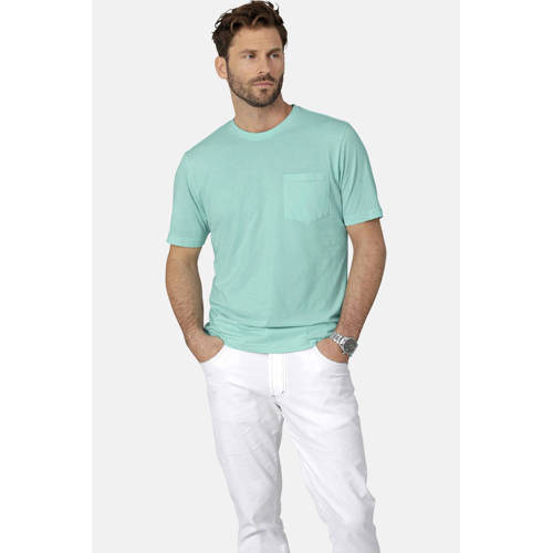 Babista regular fit t-shirt ULVIENTO groen afbeelding