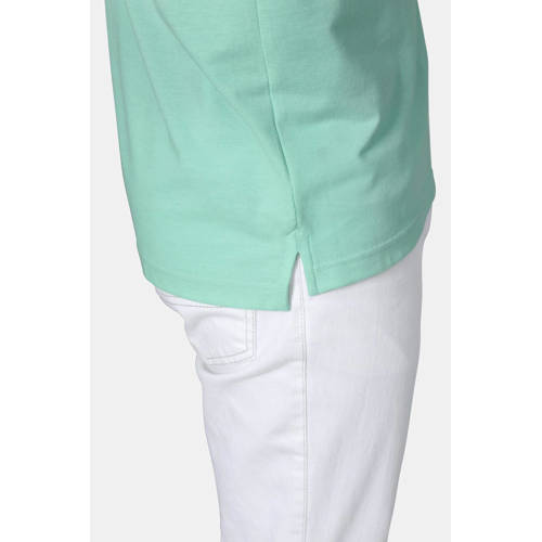 Babista regular polo TESSAVEST mintgroen afbeelding