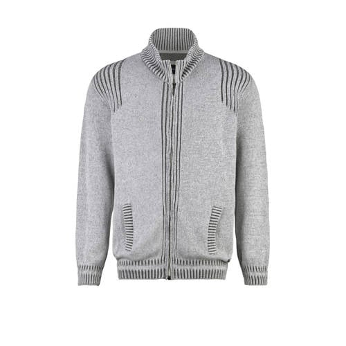 Babista gebreid vest TOSCATELLI grijs afbeelding
