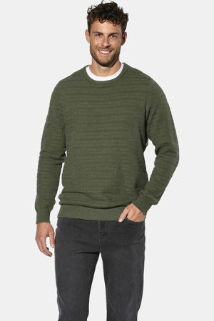 katoenen regular fit gebreide trui Plus Size - groen