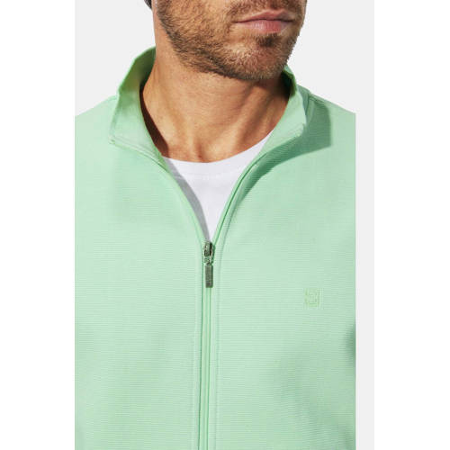 Babista sweatvest ILDON met textuur mintgroen afbeelding