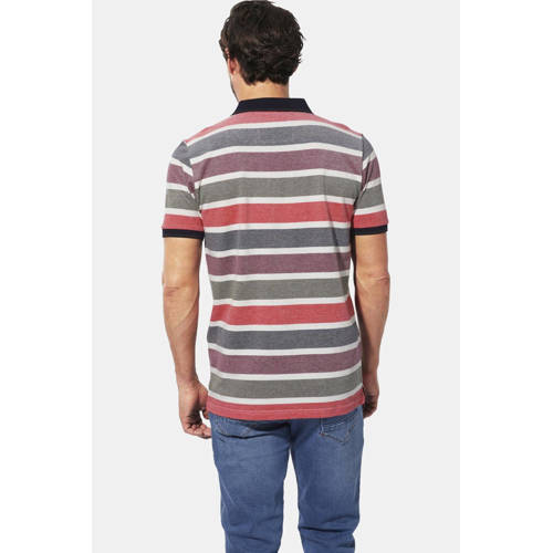 Babista regular polo CIRINOSTI multi afbeelding