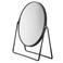 Sealskin badkamer spiegel Circle (8x21,5x24,5 cm)