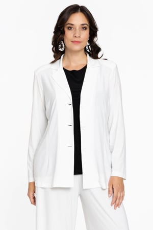 regular blazer wit