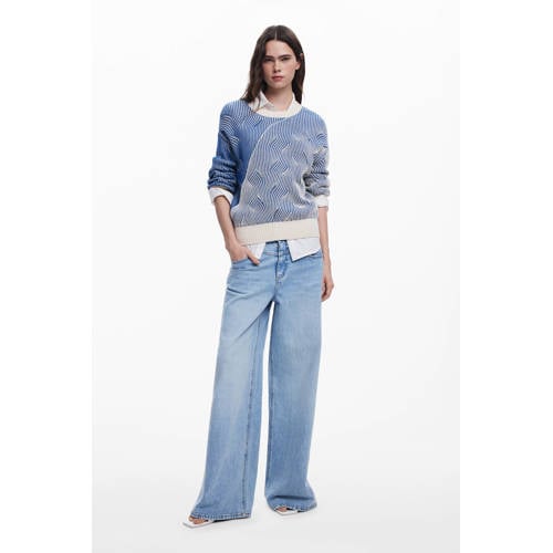 Desigual trui blauw afbeelding