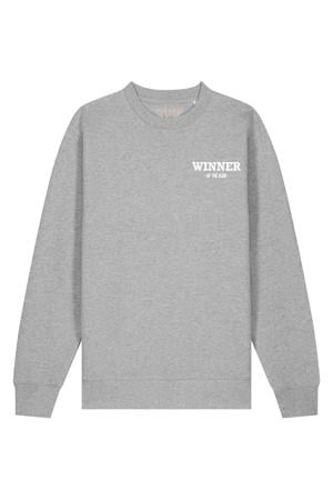 sweater grijs