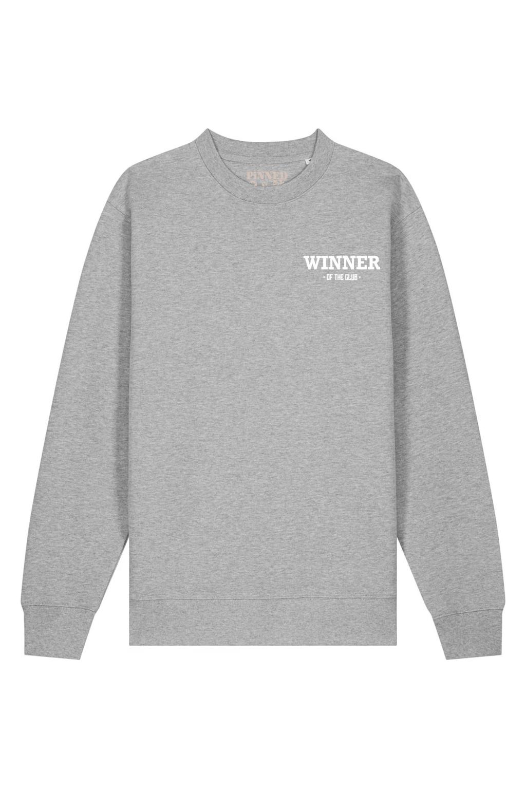 Grijze dames Pinned by K Curve sweater met printopdruk, lange mouwen en ronde hals
