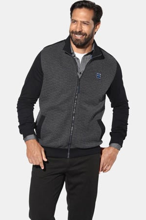 +FIT Collectie sweatvest LARSHEIM met textuur grijs
