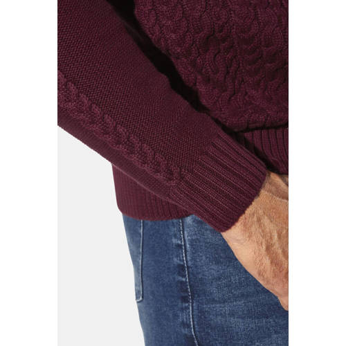 Jan Vanderstorm BJORNSTROM trui gebreid Plus Size donkerrood afbeelding