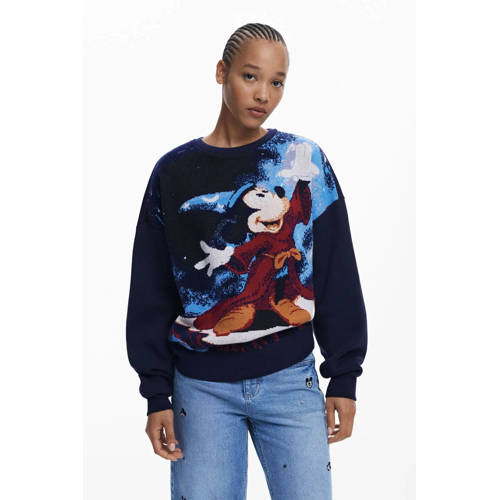 Desigual sweater blauw afbeelding