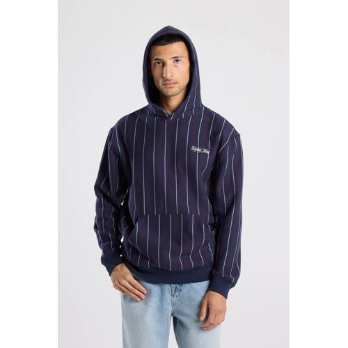 America Today gestreepte hoodie donkerblauw afbeelding