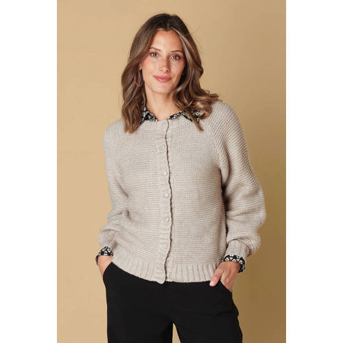 Ivy Beau gebreid vest afbeelding