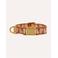 Dogguo Hondenhalsband HEART-COLLAR-BROWN/APRICOT-XS