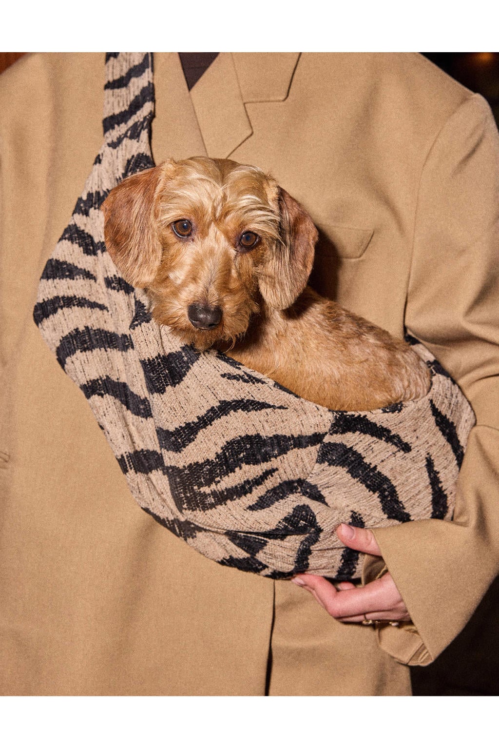 Dogguo Hondentas / kattentas ZEBRA-CARRIER-BEIGE/BLACK