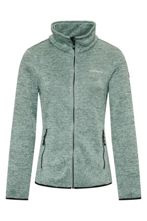 Andrea fleece vest lichtgroen
