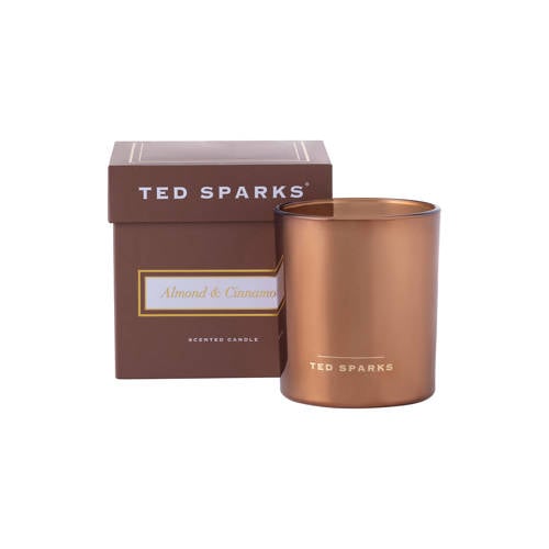 Ted Sparks geurkaars Demi - Almond & Cinnamon afbeelding