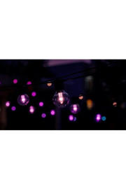 thumbnail: Philips Hue Festavia outdoor lichtsnoer met globe-lampen