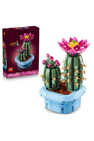 Bloeiende Cactus Planten Decoratie Set 11509