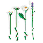 thumbnail: LEGO Botanical Collection Madeliefjes Bloemen Bouwpakket voor Kinderen 11508