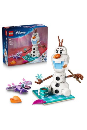 Olaf en Bruni's Picknickplezier Bouwpakket 43287