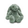 Zazu Sleep Soother Ro the rabbit Green