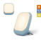 Zazu Socket Light Blue