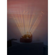 thumbnail: Zazu Sunset Projector Henry the hedgehog
