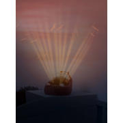 thumbnail: Zazu Sunset Projector Henry the hedgehog