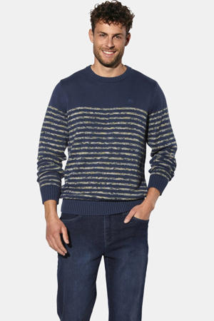katoenen regular fit gestreepte trui Plus Size - donkerblauw