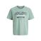 JACK & JONES JUNIOR T-shirt lichtgroen