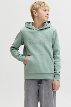 hoodie lichtgroen