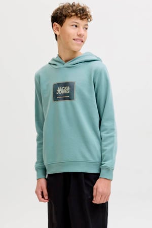 hoodie blauw