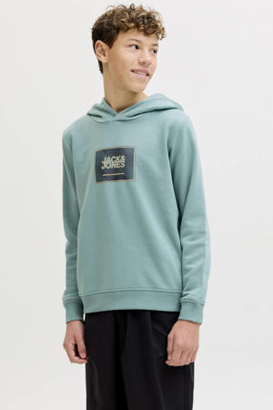 hoodie blauw