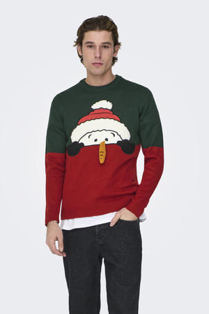 kersttrui multi