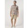Campbell Salford regular chino short camel