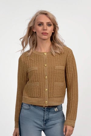 gebreid vest camel met glitter