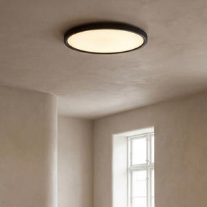 plafondlamp Ilja (Ø40x2,5 cm)