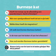 thumbnail: Bezzerwizzer BrainBox Huisdieren