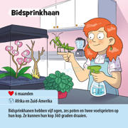 thumbnail: Bezzerwizzer BrainBox Huisdieren