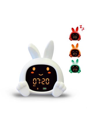 Sleeptrainer Sarah