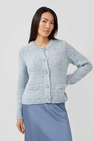 gebreid vest blauw