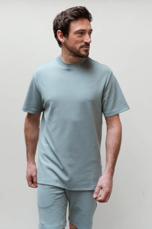 regular T-shirt grijsblauw