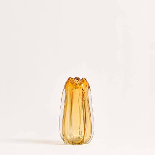 Blooming Good Vaas - Good Vase.18 - Glas - (15x28 cm) afbeelding