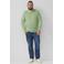 s.Oliver Big Size gebreide trui lichtgroen