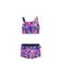 Just Beach crop bikini Tanzania lichtblauw/donkerblauw/roze