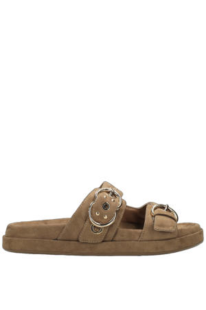 slippers bruin