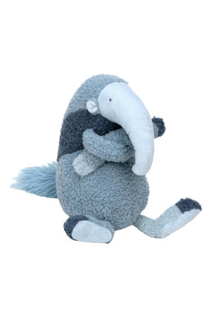 Anteater Amir