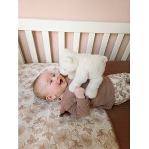 Ice bear Izzy no. 1